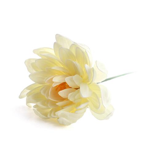비누꽃 다알리아 (25개입) 연연핑크
